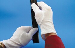 Electron Microscopy Sciences Cotton Gloves Medium, Quantity: Pack of 6