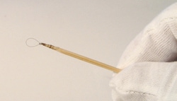 Electron Microscopy Sciences Hair Curl for Ultramicrotomy