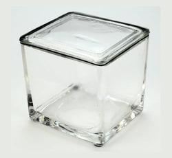 Electron Microscopy Sciences 30-Slide Staining Dish and Lid only, 3¾