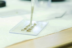 Electron Microscopy Sciences&nbsp;Cyto-Slide Vc & Lines