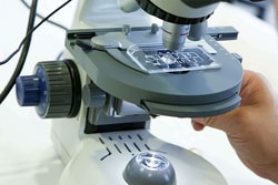 Electron Microscopy Sciences LiveSlide Microscope Living Slides
