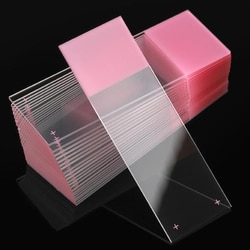 Electron Microscopy Sciences Globe White Glass Charged Slides, 90° Ground Edge,  Corner, Pink Frosted Label