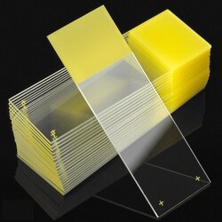 Electron Microscopy Sciences Globe White Glass Charged Slides, 90° Ground Edge,  Corner, Gold Frosted Label