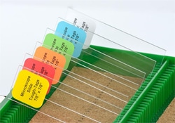 Electron Microscopy Sciences&nbsp;Tough-Tag Labels 22 x 22 mm, Green