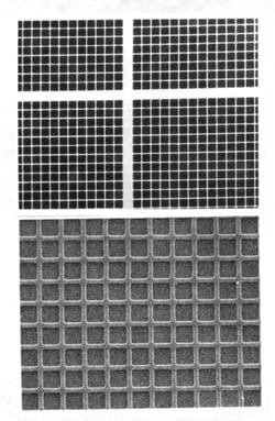 Electron Microscopy Sciences Silicon Test Specimen, Unmounted