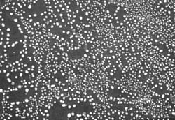 Electron Microscopy Sciences SEM Ultra High Resolution Gold on Carbon Test