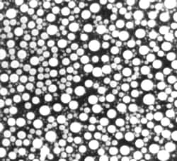 Electron Microscopy Sciences SEM Tin On Carbon Medium Resolution Test Specimen,