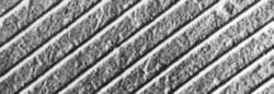 Electron Microscopy Sciences Grating Replica Parallel Line