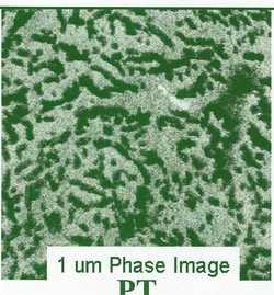 Electron Microscopy Sciences&nbsp;Calibration Specimen PT, 15 mm steel disk for AFM