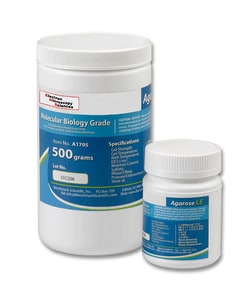 Electron Microscopy Sciences Agarose LE Powder 100 GR, Quantity: Each of