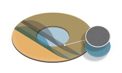Electron Microscopy Sciences Formvar/Carbon Film 15-20 nm/3-4 nm thick on Single 1000 µm hole Copper Grid