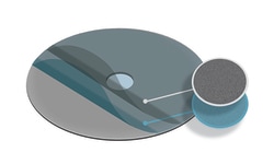Electron Microscopy Sciences Formvar/Carbon Film 3-4 nm/3-4 nm thick on Single 800 µm hole Nickel Grid