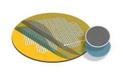 Electron Microscopy Sciences Formvar/Carbon Support Film 10 nm/1 nm thick on London Finder LF400 Gold Grid