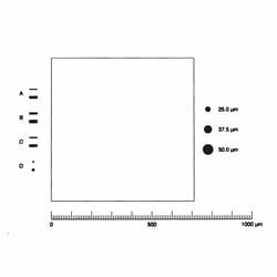 Electron Microscopy Sciences Metallurgical Graticle G44, 19mm, ASTM E45,