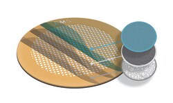 Electron Microscopy Sciences Holey Carbon Film with Carbon/Formvar 1 nm / 5 nm thick on 300 mesh Copper Grid