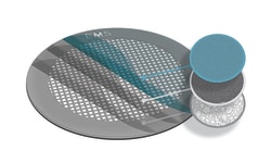 Electron Microscopy Sciences Holey Carbon Film with Carbon/Formvar 1 nm / 5 nm thick on 300 mesh Nickel Grid