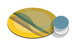 Electron Microscopy Sciences Lacey Carbon Film with Ultrathin Formvar 3-4 nm thick on 300 mesh Gold Grid