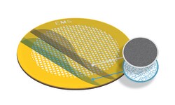 Electron Microscopy Sciences EMS Lacey Formvar with Carbon Film on 200 mesh Gold Grid, 50 µm Holes