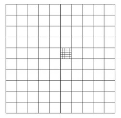 Electron Microscopy Sciences Whipple Grid Graticle NE29, 16 mm, 100 squares