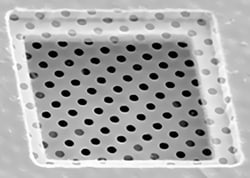 Electron Microscopy Sciences R 3/3 Holey Carbon Films on Grids, Grid: Copper. Mesh: 200., 50/PK