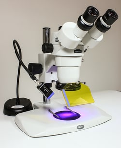 Electron Microscopy Sciences NIGHTSEA™ Stereo Fluorescence Adapter Standard Lamp Base, Royal Blue/Green Only Barrier Filter