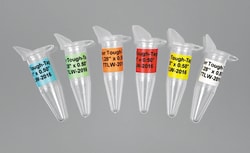 Electron Microscopy Sciences Tough-Tag Labels 41 mm x 16 mm, White, Quantity: