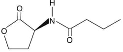 Cayman Chemical N-butyryl-L-Homoserine lactone, 67605-85-0, 5 mg, Quantity: