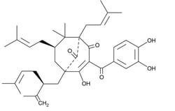 Cayman Chemical Garcinol, 78824-30-3, 10 mg, Quantity: Each of 1
