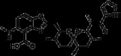 Cayman Chemical A23187 | 52665-69-7 | MFCD00151202 | 5 mg