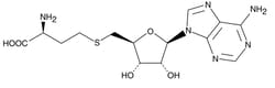 Cayman Chemical S-Adenosylhomocysteine, 979-92-0, 10 mg, Quantity: Each