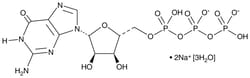 Cayman Chemical Guanosine 5′-triphosphate (sodium salt hydrate) | 56001-37-7
