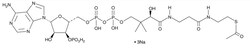 Cayman Chemical Acetyl Coenzyme A (sodium salt), 102029-73-2, 25 mg, Quantity: