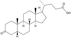 Cayman Chemical Dehydrolithocholic Acid | 1553-56-6 | MFCD00046265 | 10