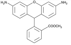 Cayman Chemical Dihydrorhodamine 123, 109244-58-8, 25 mg, Quantity: Each