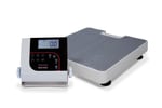Rice Lake Weighing System Scale,Floor Level 150-10-7 550lb(250kg) x 0.2lb(100g) includes 6 AA Alkaline batteries