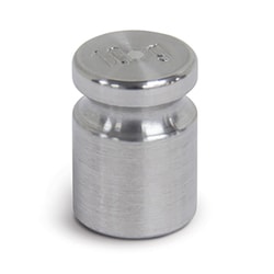 Rice Lake Weighing System&nbsp;Weight, 10g ASTM Class 5
