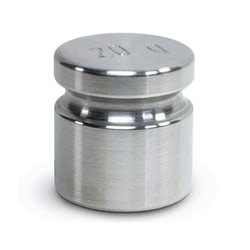 Rice Lake Weighing System&nbsp;Weight, 20g ASTM Class 5