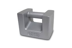 Rice Lake Weighing System&nbsp;Weight, 25lb ASTM Class 6 