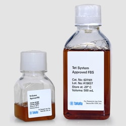 Clontech Labs 3P Tet System Approved FBS 500 ml, Quantity: Each of 1