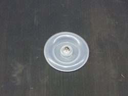 Thermo Scientific Snapped Lid