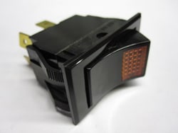 Thermo Scientific Rocker Switch 250 20 DPST