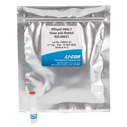 LICOR IRDye 680LT Goat anti-Rabbit IgG Secondary Antibody (0.1 mg), Quantity: