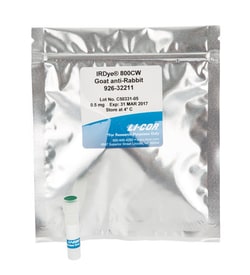 LI COR BIOTECH LLC IRDye 800CW Goat anti-Rabbit IgG Secondary Antibody