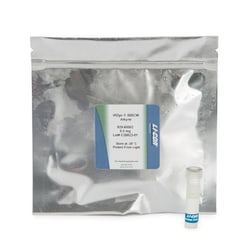 LI COR BIOTECH LLC IRDye 800CW Alkyne Infrared Dye (0.5 mg), Quantity: