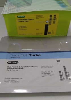 Bio Rad Laboratories Trans-Blot Turbo Midi 0.2 �m Nitrocellulose Transfer