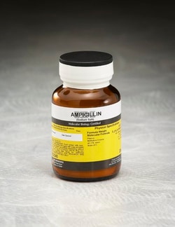 IBI SCIENTIFIC 3P&nbsp;Ampicillin Sodium Salt | 69-52-3 | MFCD00064313 | 25 g