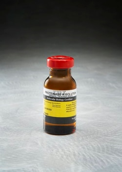 IBI SCIENTIFIC 3P Proteinase K Solution, 95% Purity, 5 mL, Quantity: Each