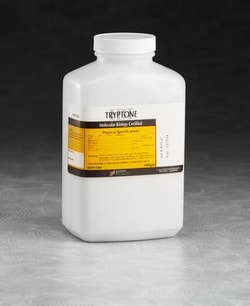 IBI SCIENTIFIC 3P Tryptone, a Pancreatic Digest of Casein, 500 g, Quantity: