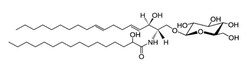 Avanti Polar Lipids CEREBROSIDE (SOY, 98%), Quantity: Each of 1