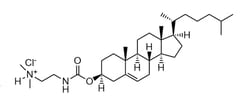 Avanti Polar Lipids DC-CHOLESTEROL?HCL 200MGDC-CH, Quantity: Each of 1